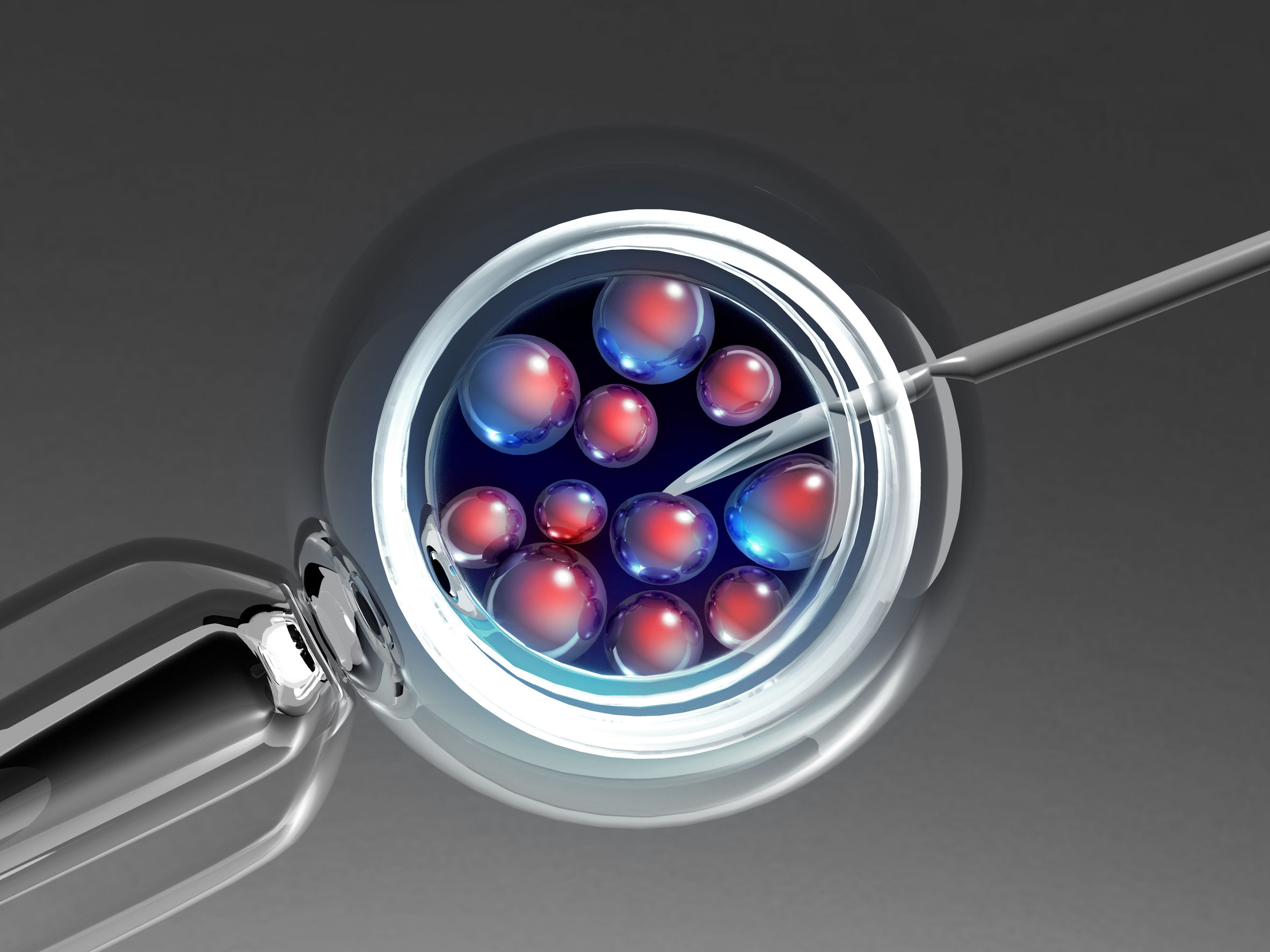 Fresh Vs Frozen Embryo Transfer Which Is Better For You