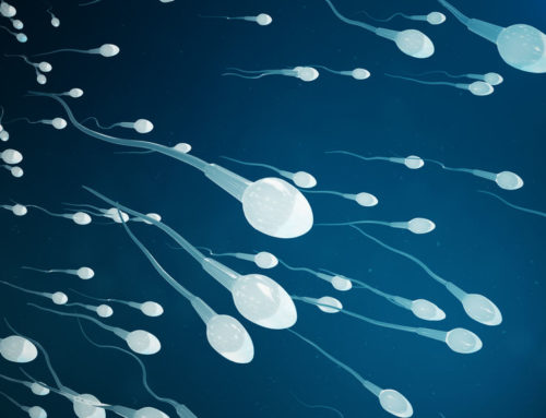 Azoospermia, Oligospermia or Poor Motility: When To Consider Donor Sperm