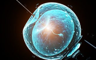 rmia-Optimizing-Embryo-Transfer-Practical-Tips-For-Success