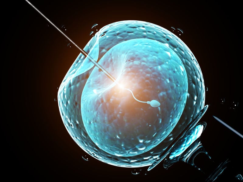 rmia-Optimizing-Embryo-Transfer-Practical-Tips-For-Success rmia-Optimizing-Embryo-Transfer-Practical-Tips-For-Success