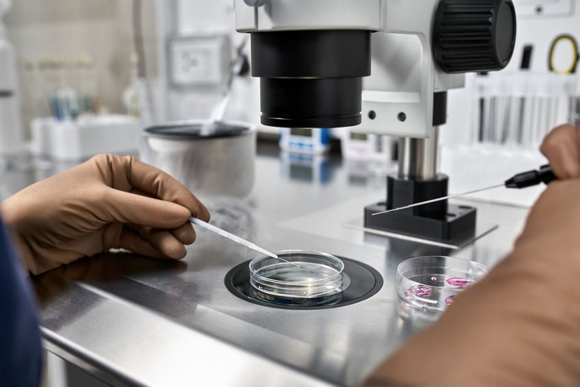 rmia Advanced Reproductive Technology For Difficult-To-Treat Infertility Cases