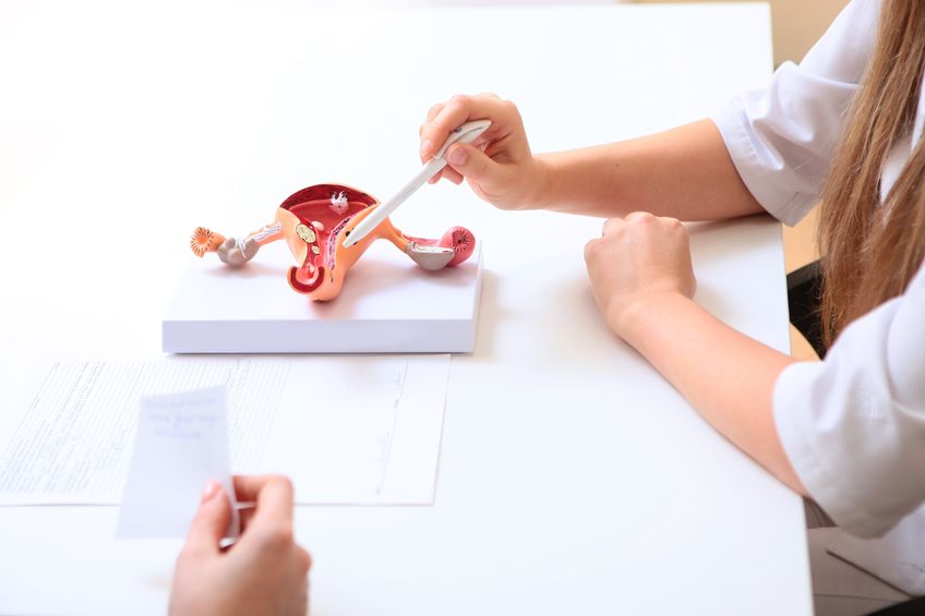 rmia-Endometriosis-_-Fertility-From-Pelvic-Health-To-Successful-Embryo-Implantation