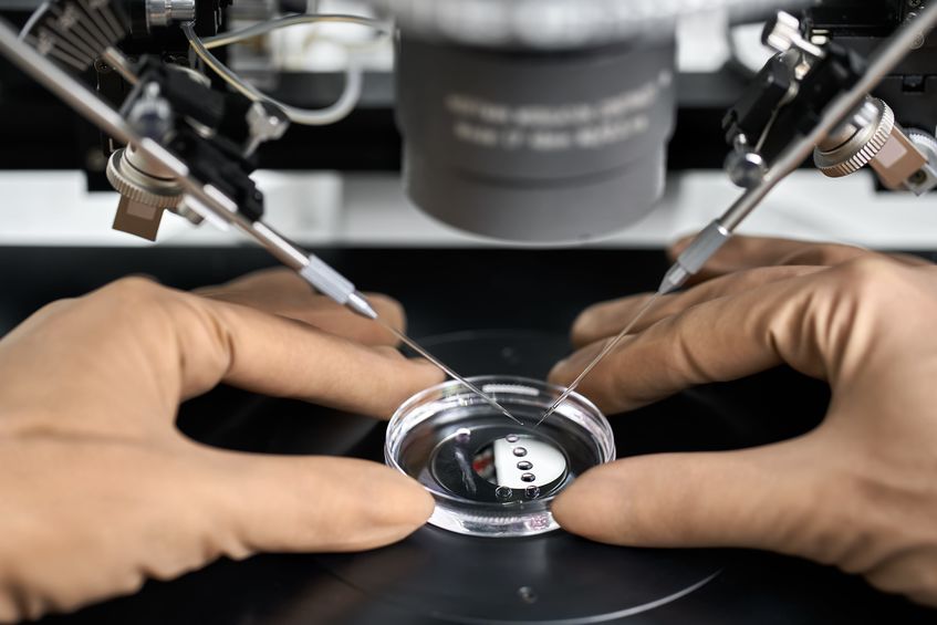 rmia-IVF-With-ICSI-For-Couples-Facing-Low-Sperm-Count