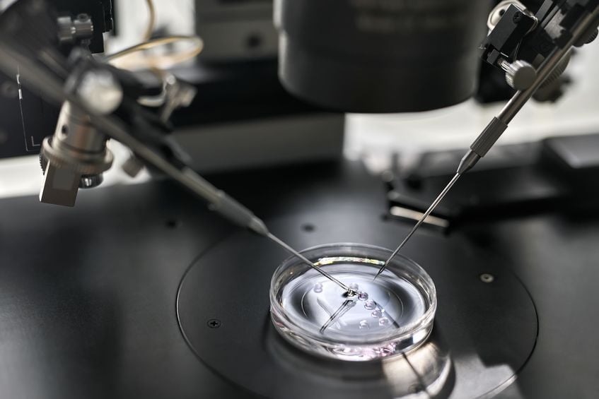 rmia Moving From IUI To IVF With ICSI After Repeated Failure