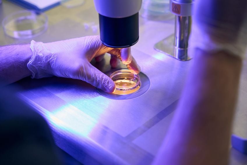 RMIA-Using-Donor-Sperm-To-Overcome-Unexplained-Male-Infertility