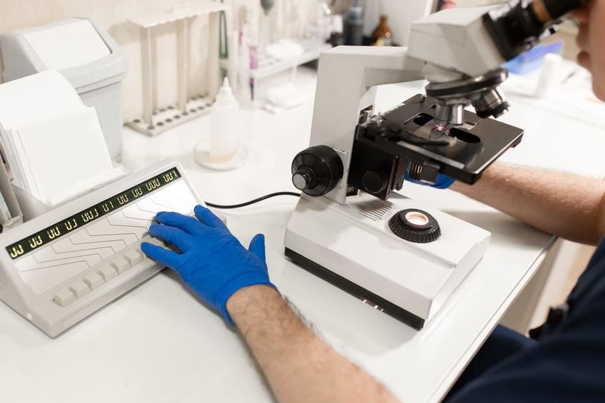rmia-Analyzing-Sperm-Quality-Simple-Steps-To-Evaluate-Male-Fertility